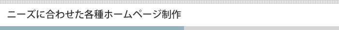 ニーズに合わせた各種ホームページ制作
