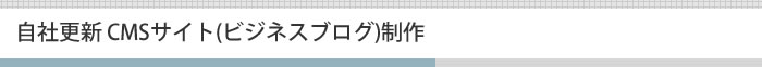 自社更新 CMSサイト(ビジネスブログ)制作