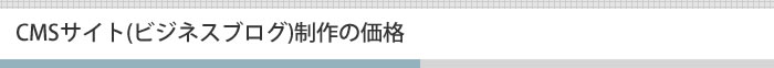 CMSサイト(ビジネスブログ)制作の価格